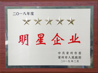 常寶股份榮獲“工業(yè)五星級(jí)企業(yè)”、“納稅金獎(jiǎng)”等多項(xiàng)大獎(jiǎng)156.png